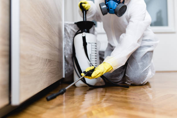 Trusted Ballwin, MO Pest Control Experts