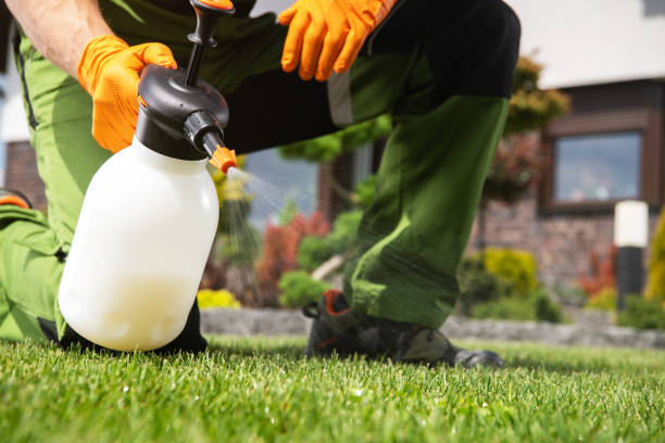 Best Commercial Pest Control Services  in Ballwin, MO