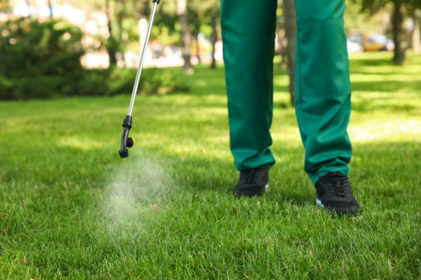 Best Affordable Exterminators  in Ballwin, MO