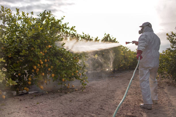 Best Mosquito Control Services  in Ballwin, MO
