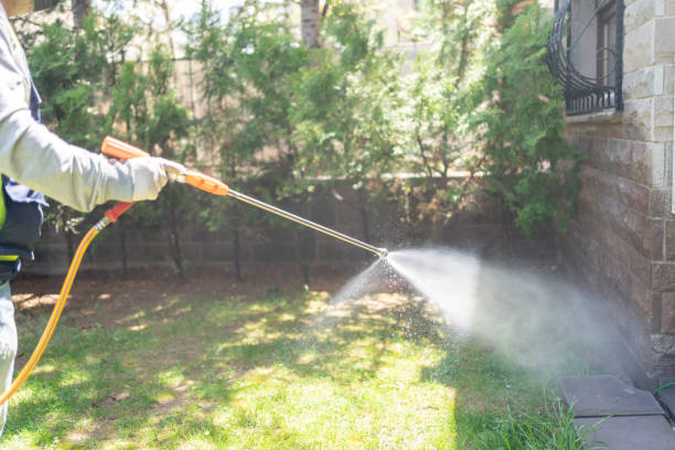 Insect Control in Ballwin, MO