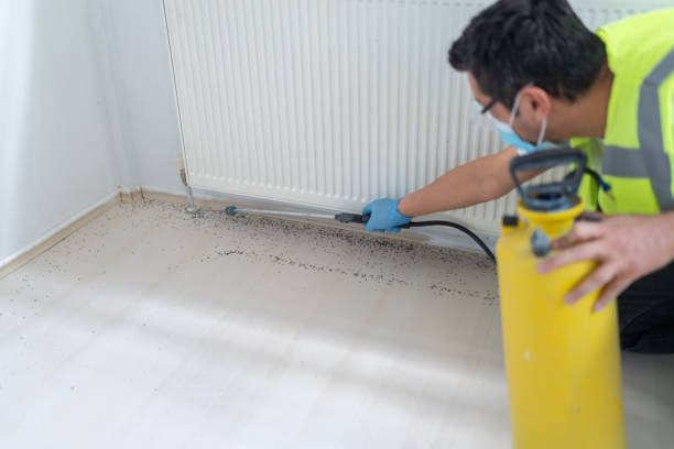 Best Mosquito Control Services  in Ballwin, MO